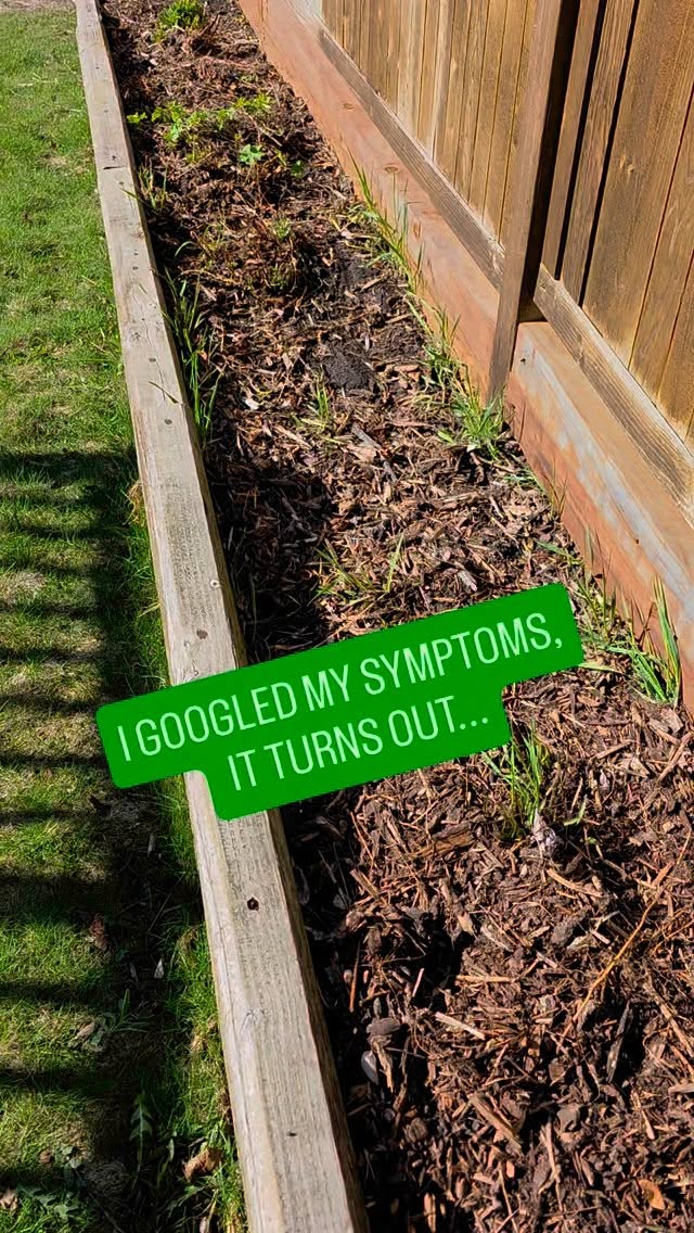 Fitness doesn’t have to mean hours at the gym. Sometimes it looks like digging in the dirt, moving your body, and soaking up some sunshine.

Today’s workout? Garden therapy!
Do you garden?

#WellnessYourWay #StrongFoundation #FitnessBeyondTheGym #GardenTherapy